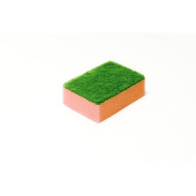 Pesusieni